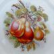 Lot of Six porcelain plates, fruit decoration