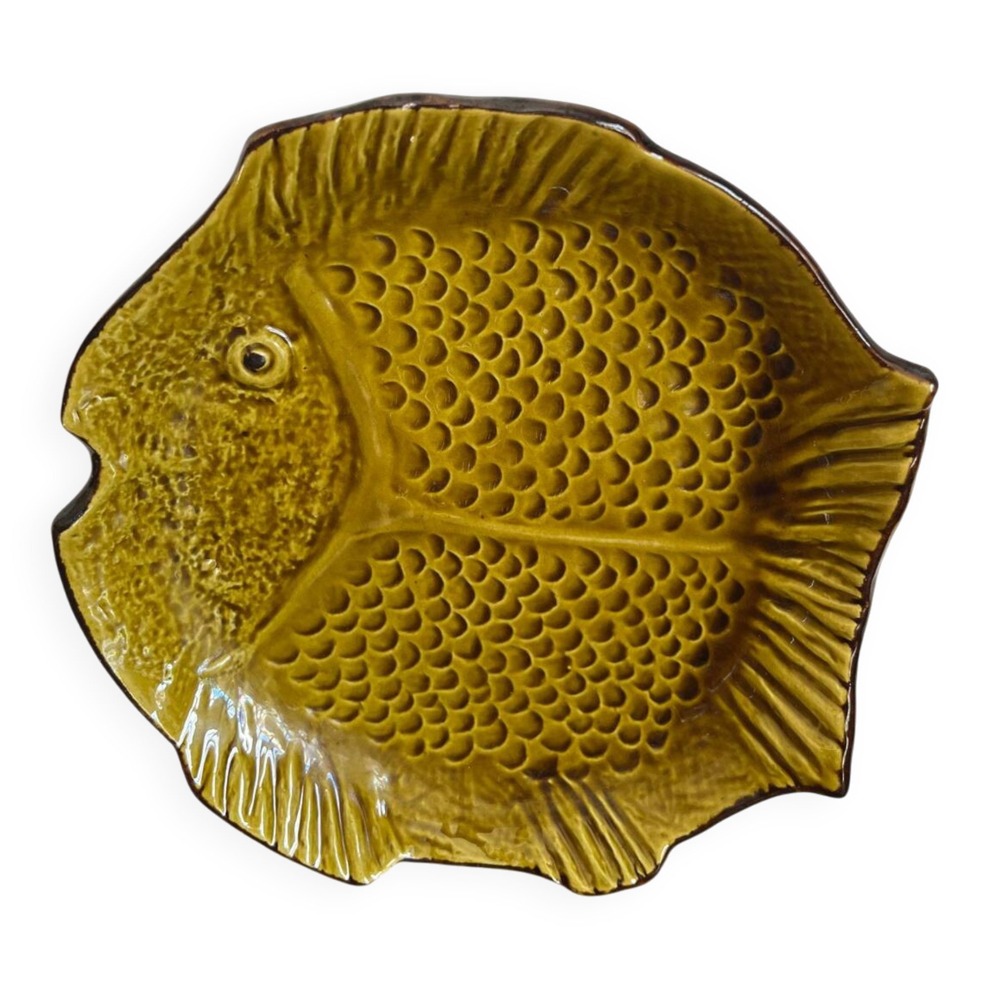Deep plate fish