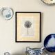 Drawing, work on paper by Claude Verdier framed, 1971