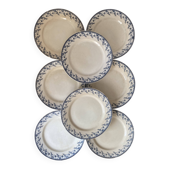 Gien porcelain plates, Terre de Fer, Montigny series