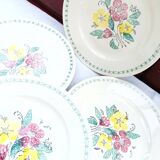 6 old flat plates