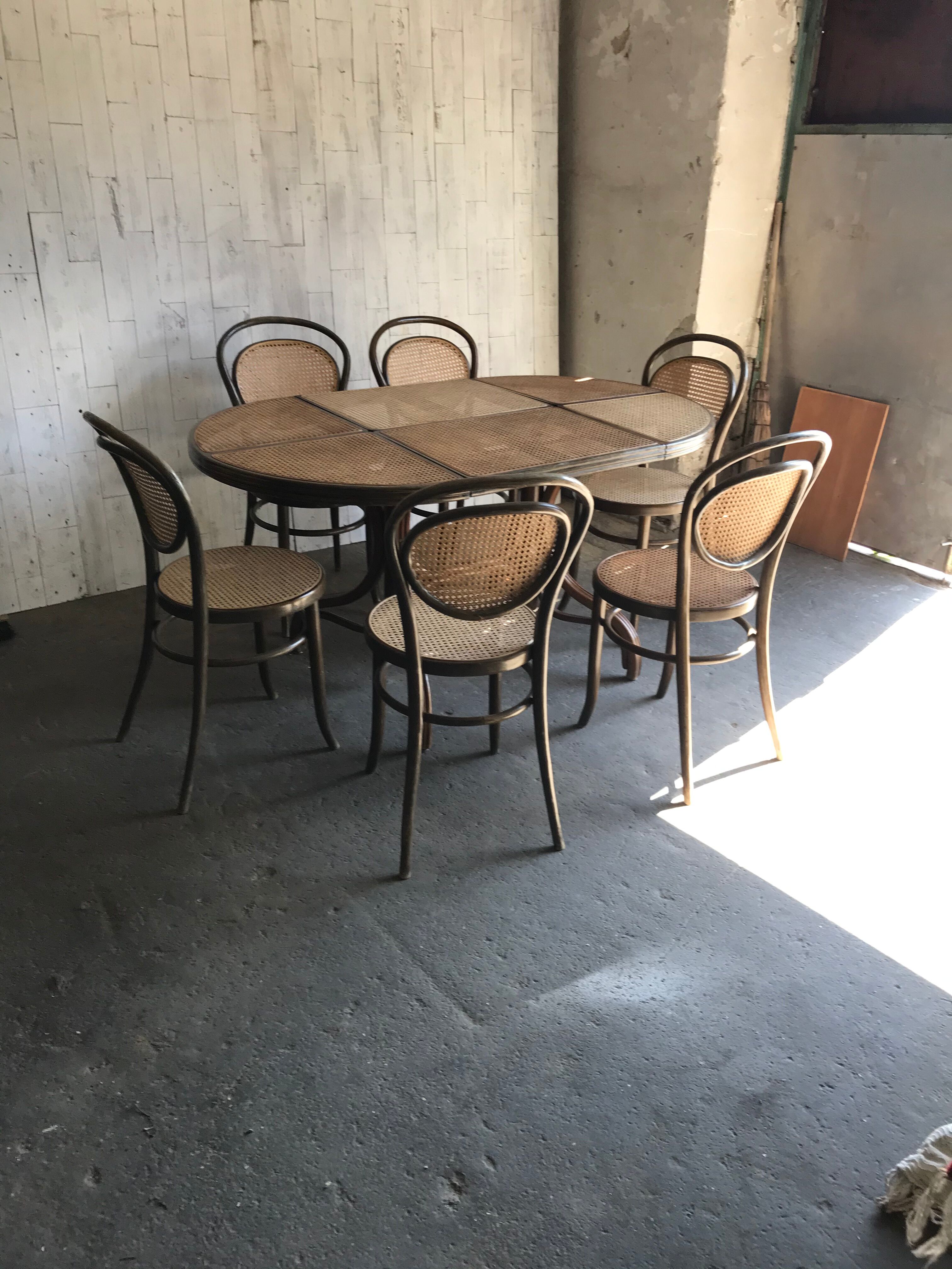 Table à manger ovale avec 6 chaises, Allemagne, années 1970