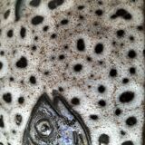 Italian ceramic dish with marine relief decoration from San Marino, 1960s-70s