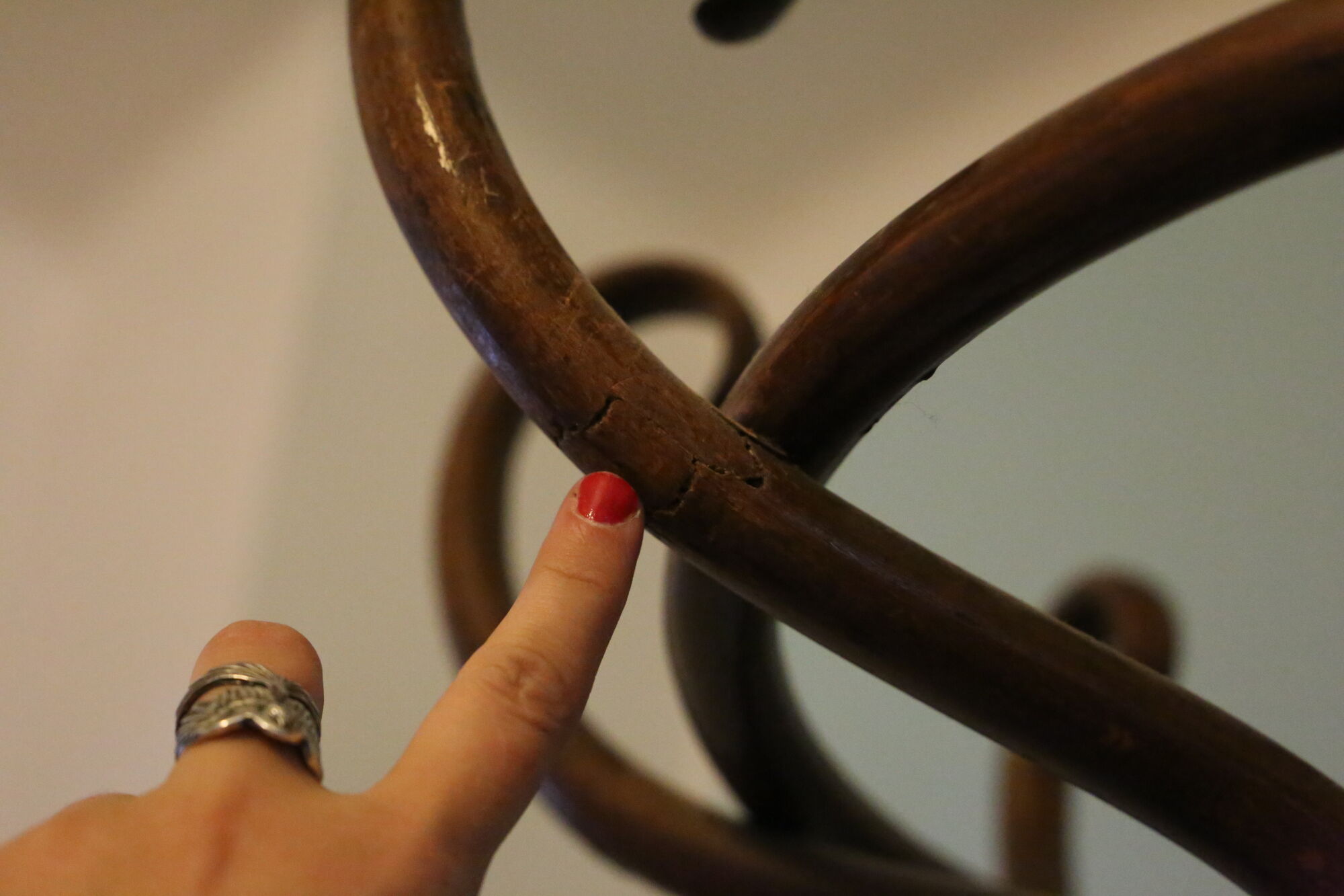 Thonet parrot coat holder