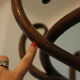 Thonet parrot coat holder