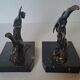Pair of vintage paradise bird bookends