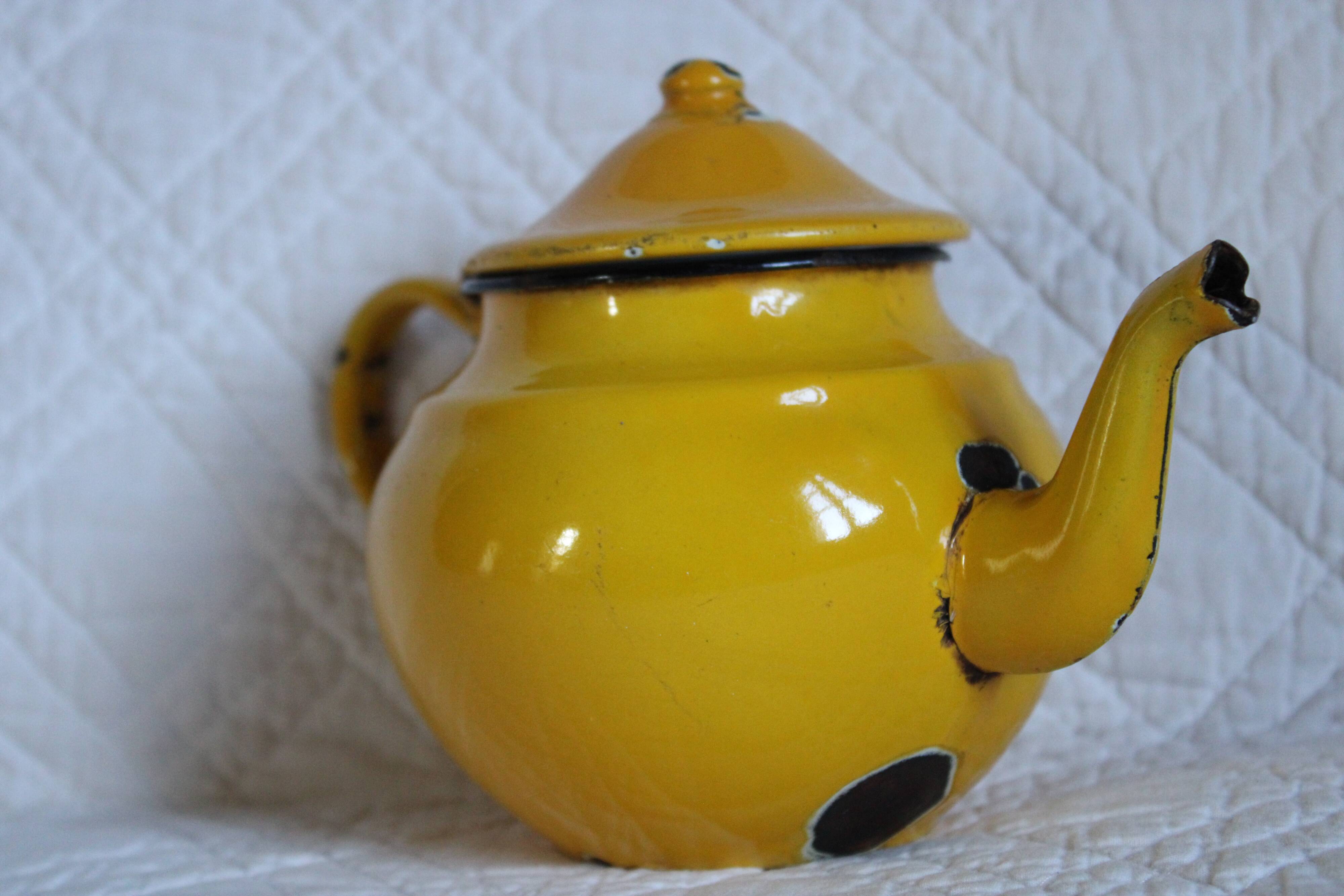 Ancient enamelled teapot