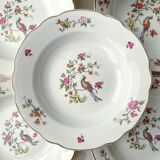 8 vintage porcelain soup plates digoin sarreguemines model conde bird of paradise pattern