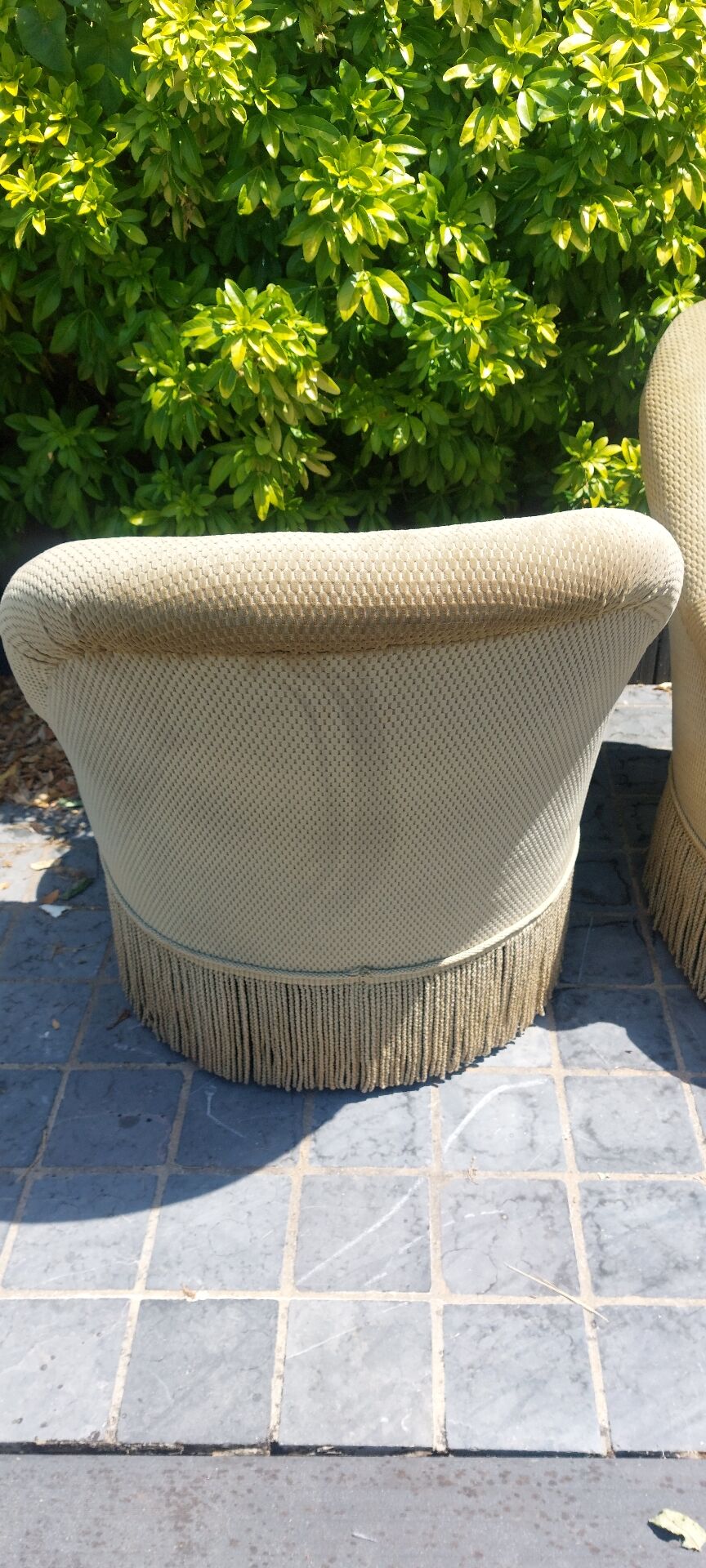 Frog chairs