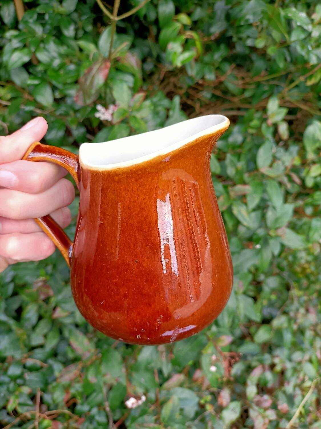 Retro ceramic milk jugs 💐