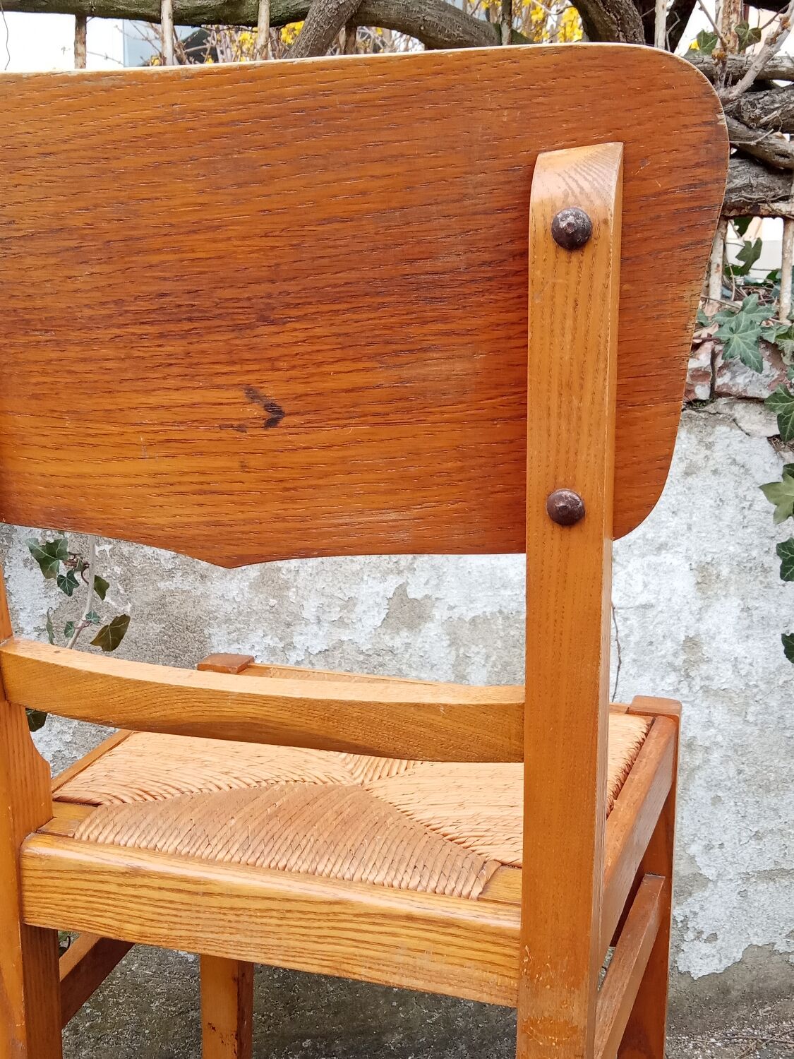 Paire de chaises paillées années 50