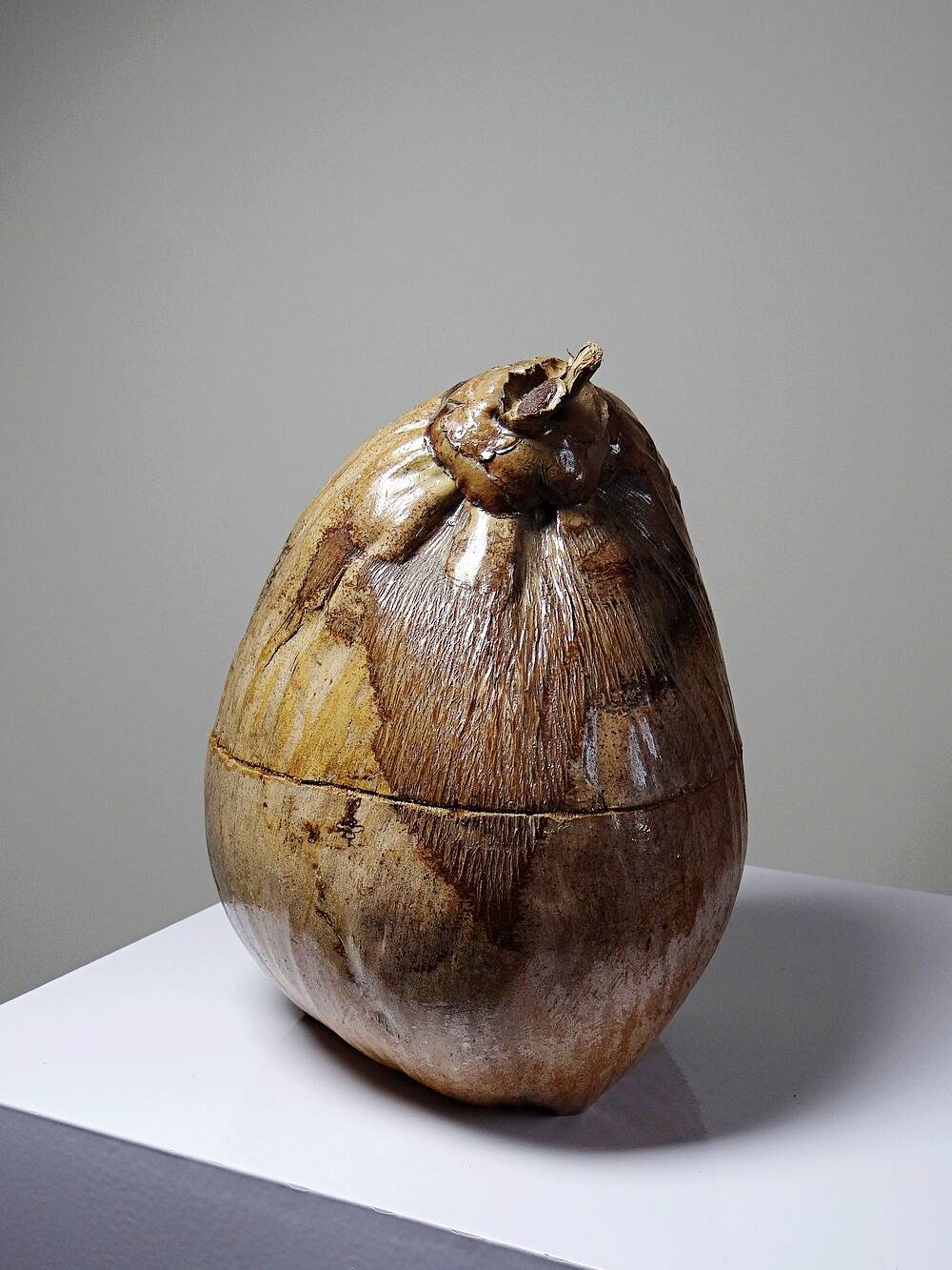 Curiosity vintage box from the 50s-60s, naturalised coconut ice bucket.