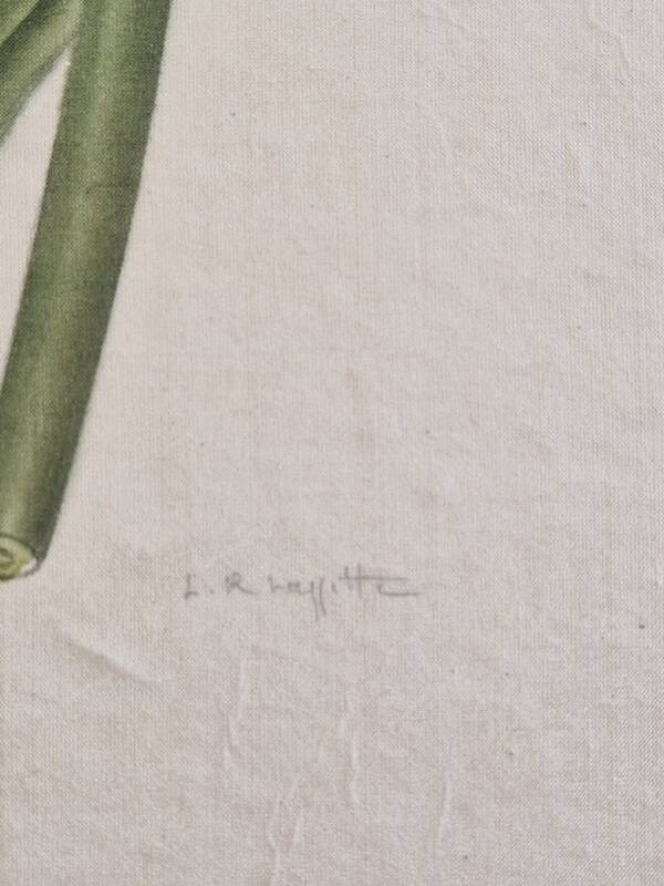 La Roche Laffitte (Born in 1943) - Watercolour drawing on silk - Yellow iris