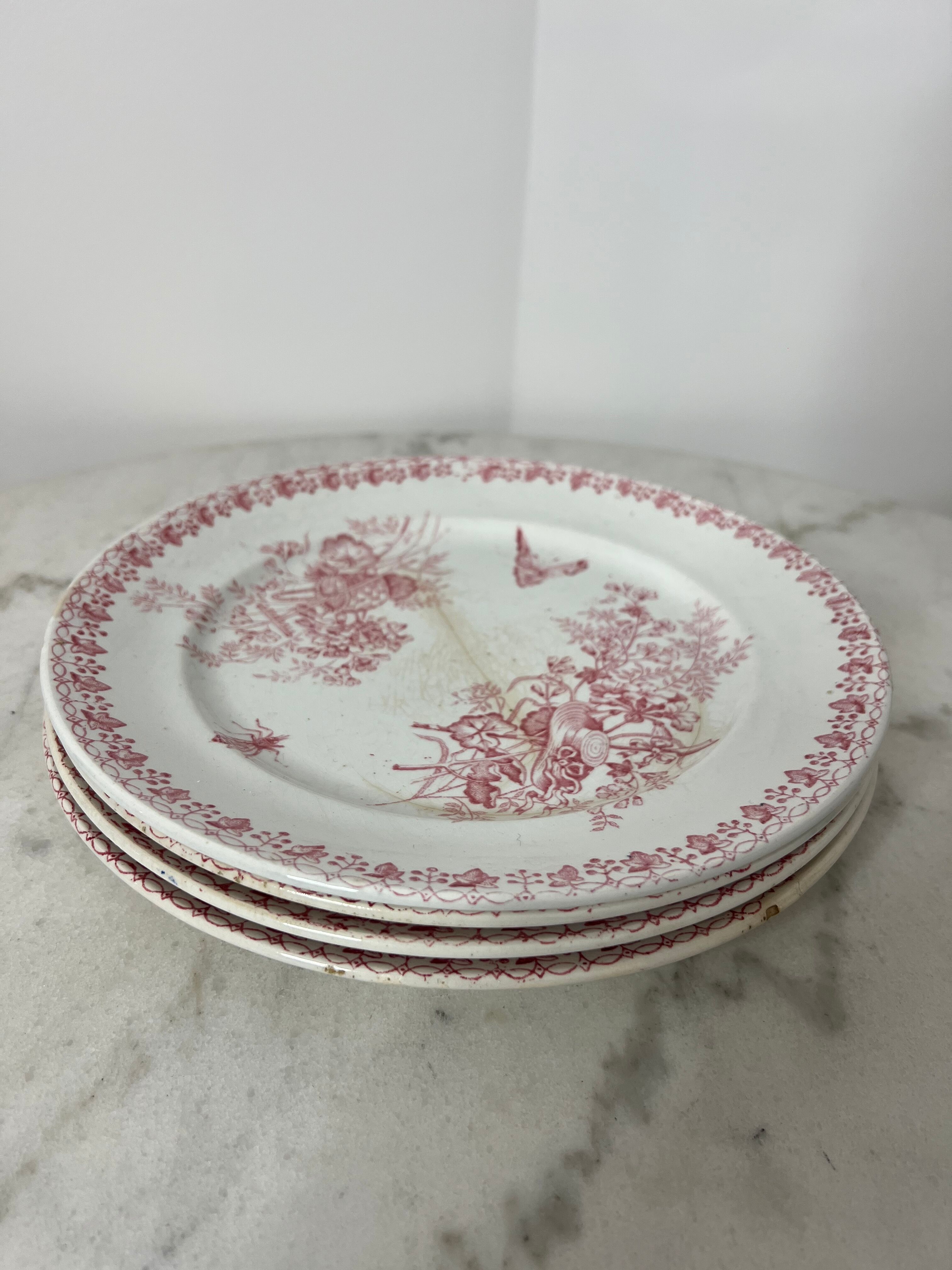 Lot 4 flat plates Terre de Fer (state of use)