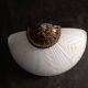 Wall light in brass and glass paste