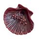 Ceramic shell soap dish or empty pocket