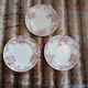 12 antique flat plates in ironstone