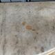 Console XVIII wooden gold louis xvi white marble flower falls