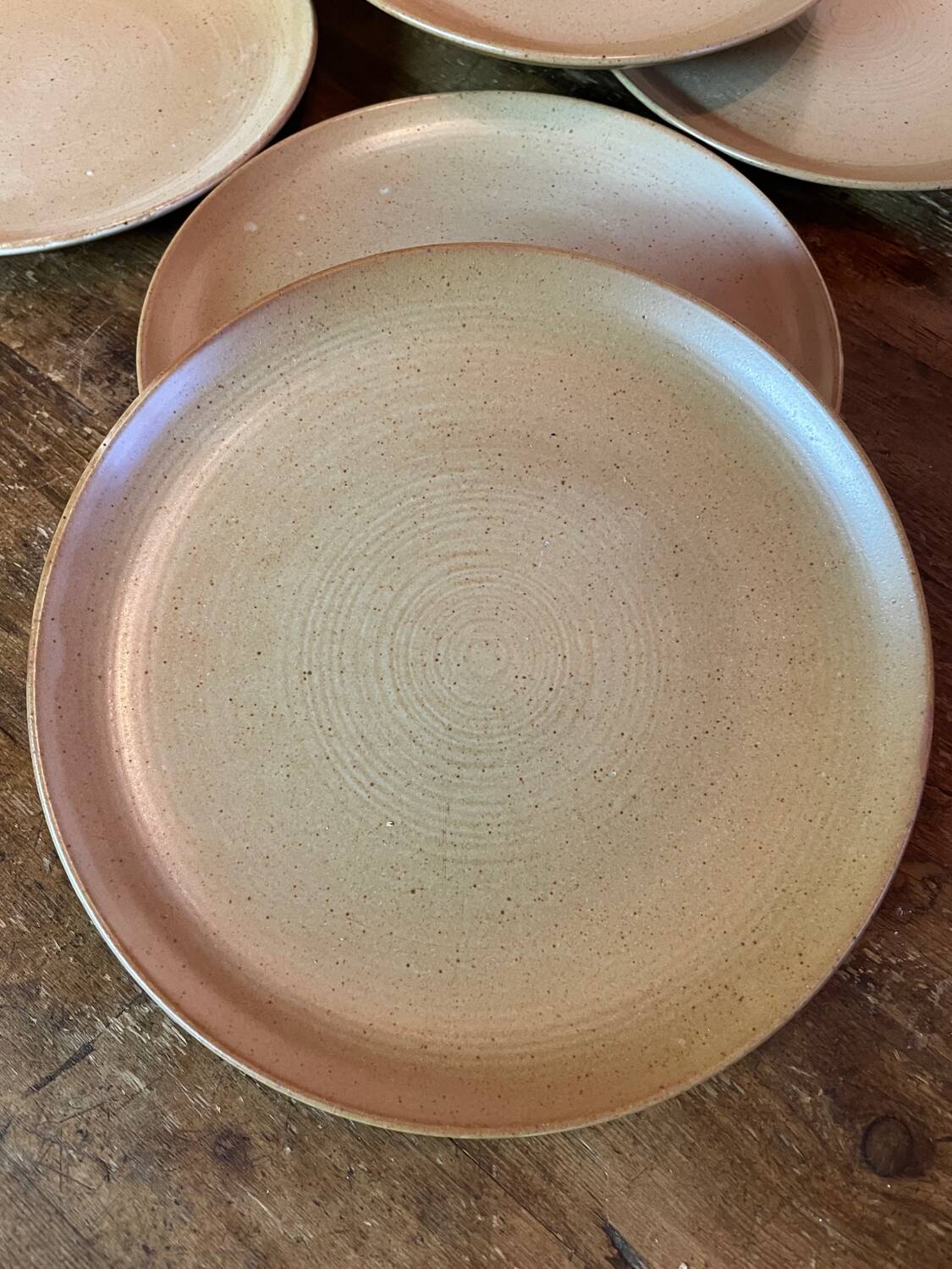 CNP stoneware plates