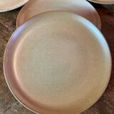 CNP stoneware plates