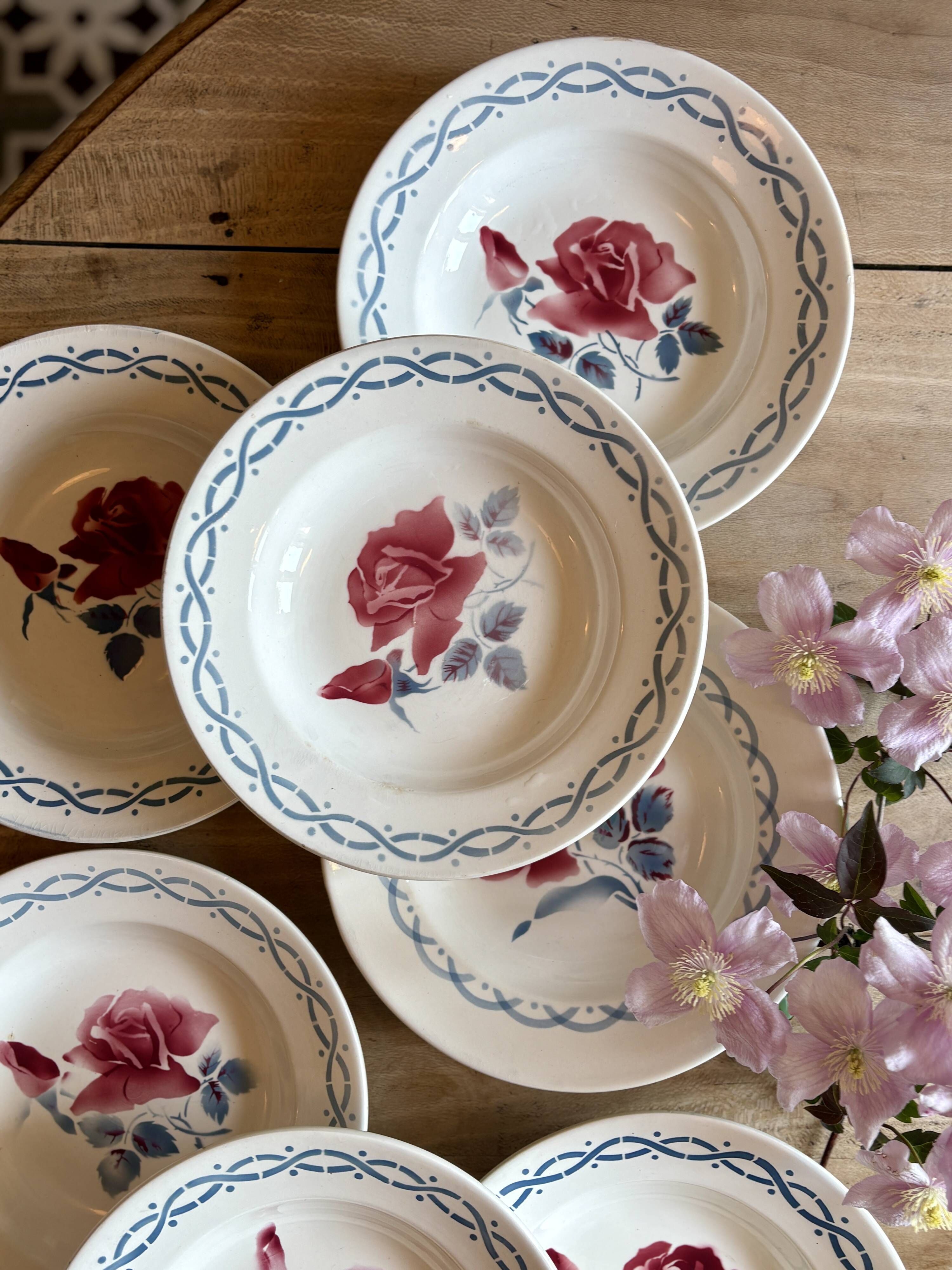 Set of 8 vintage soup plates - Janine and Cannes model by Digoin Sarrr
