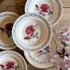 Set of 8 vintage soup plates - Janine and Cannes model by Digoin Sarrr