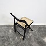 Folding Chair with Cane
