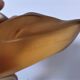 Zoomorphic paperweight crystal duck saint-louis v.rybalchenko design signed