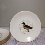 6 flat plates Gien Marly "birds of the forests"