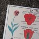 Vintage rossignol school educational poster - the tulip and the golden button