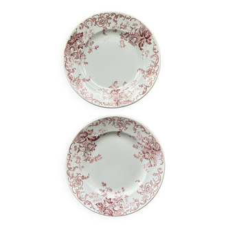Pink bellflower dinner plate x2