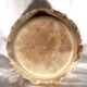 Alabaster box