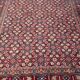 Ancient Persian carpet tabriz 144x200 cm