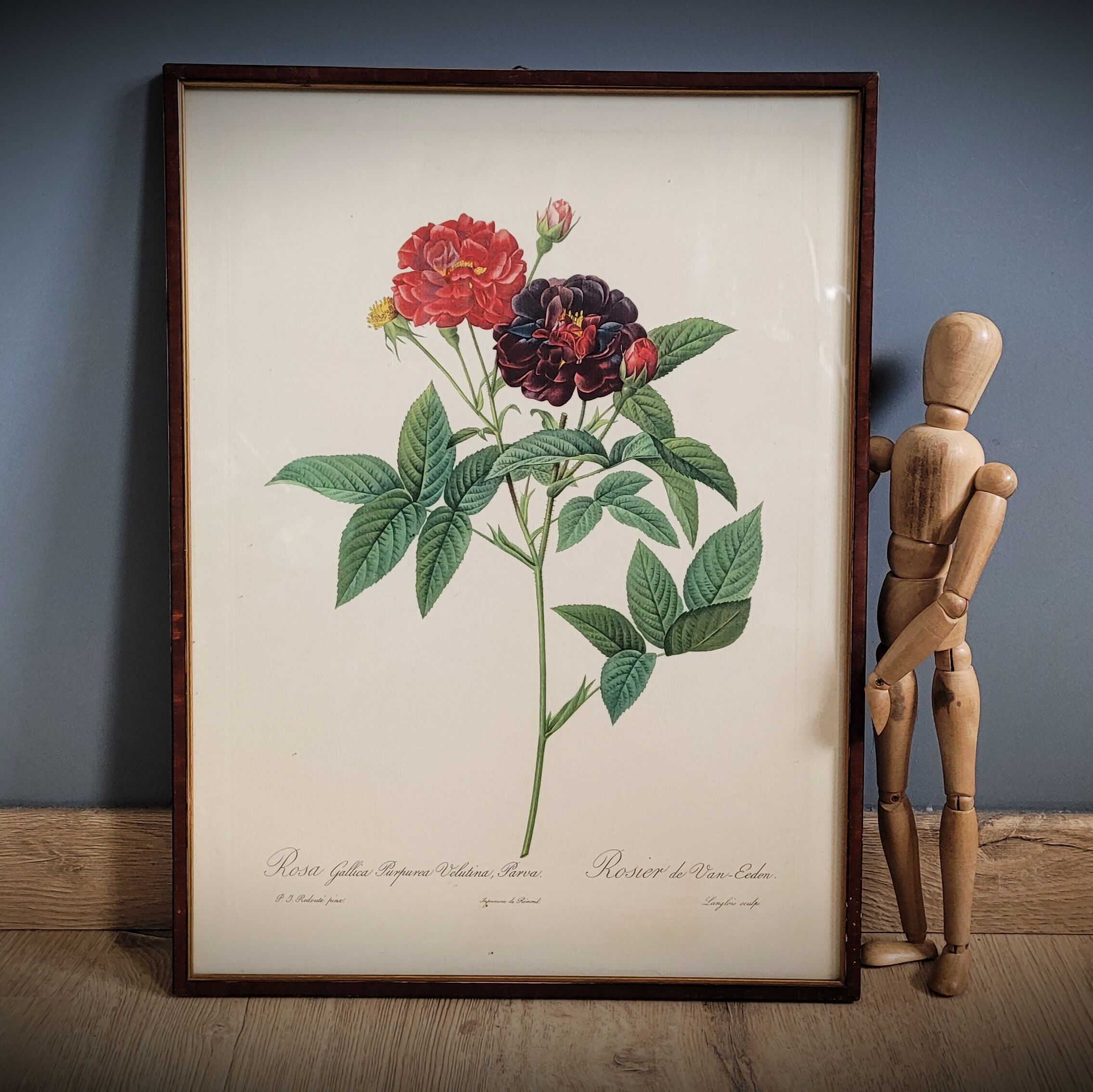 Lithograph frame rose Van Eeden