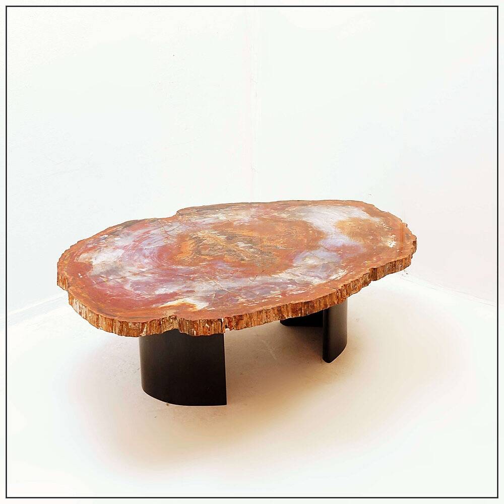 Red petrified wood coffee table from Arizona: 114x88cm