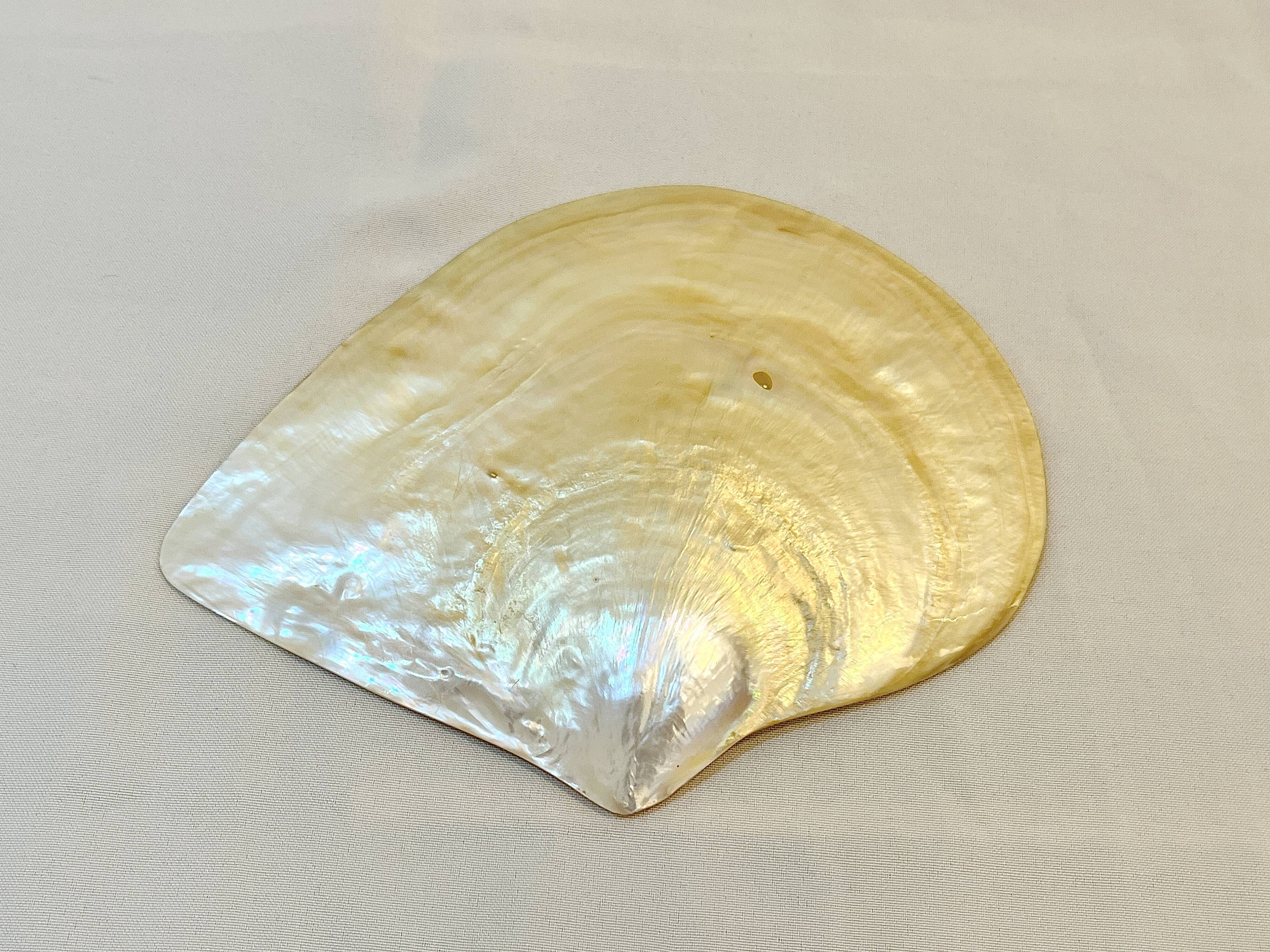 Large mother-of-pearl oyster natural pearl trinket dish from the 70s