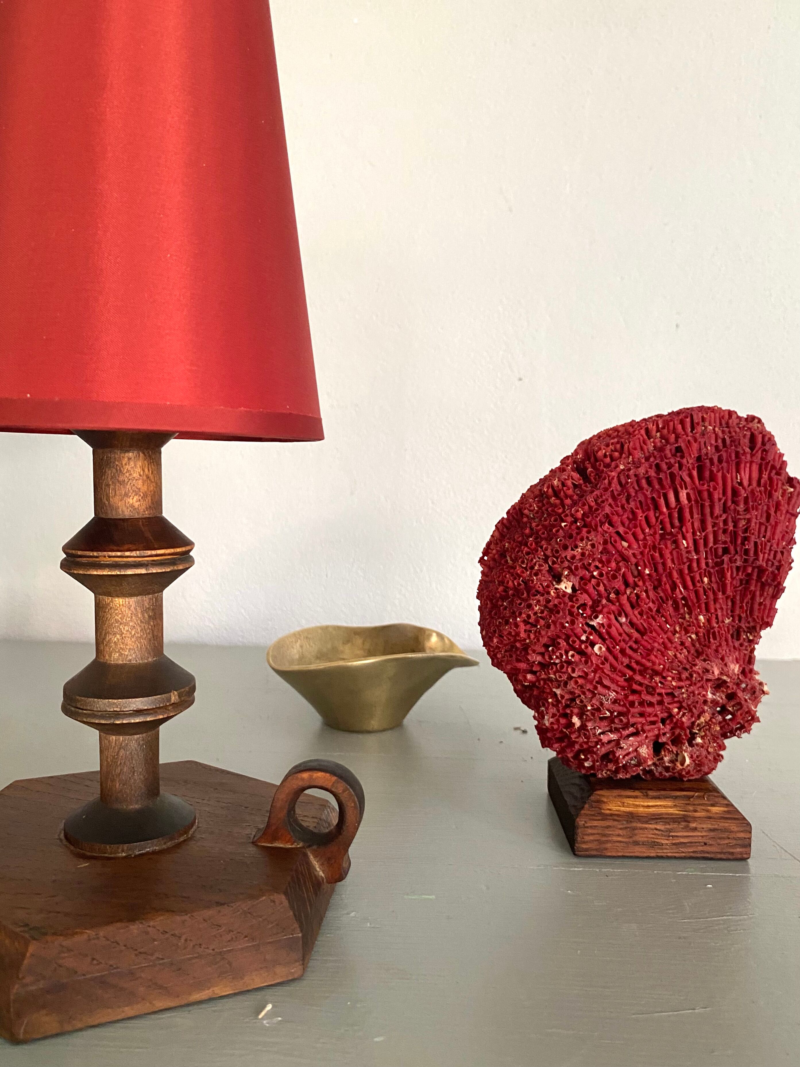 Red coral Tubipora, cabinet of curiosities