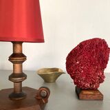 Red coral Tubipora, cabinet of curiosities