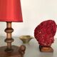Corail rouge Tubipora, cabinet de curiosités