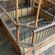 Old bird cage