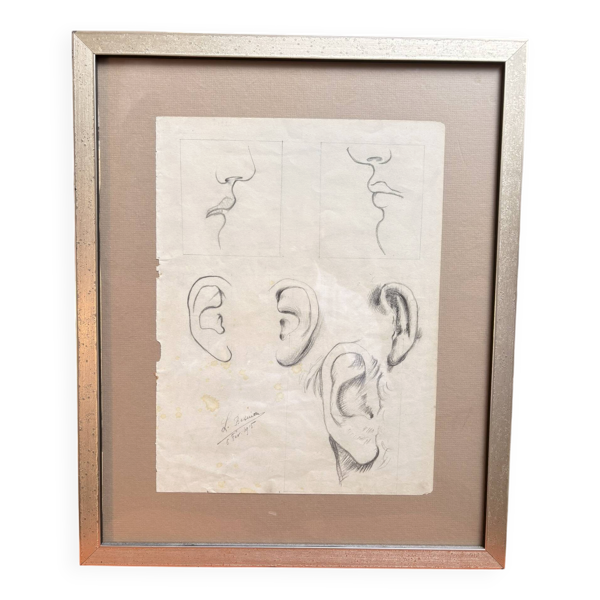 Ancien Dessin Fusain Etude Croquis Oreille Bouche Visage 1915 Signé — Beyit