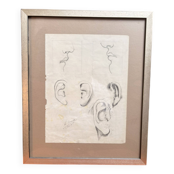 Old Charcoal Drawing Study Sketch Ear Mouth Face 1915 Signed