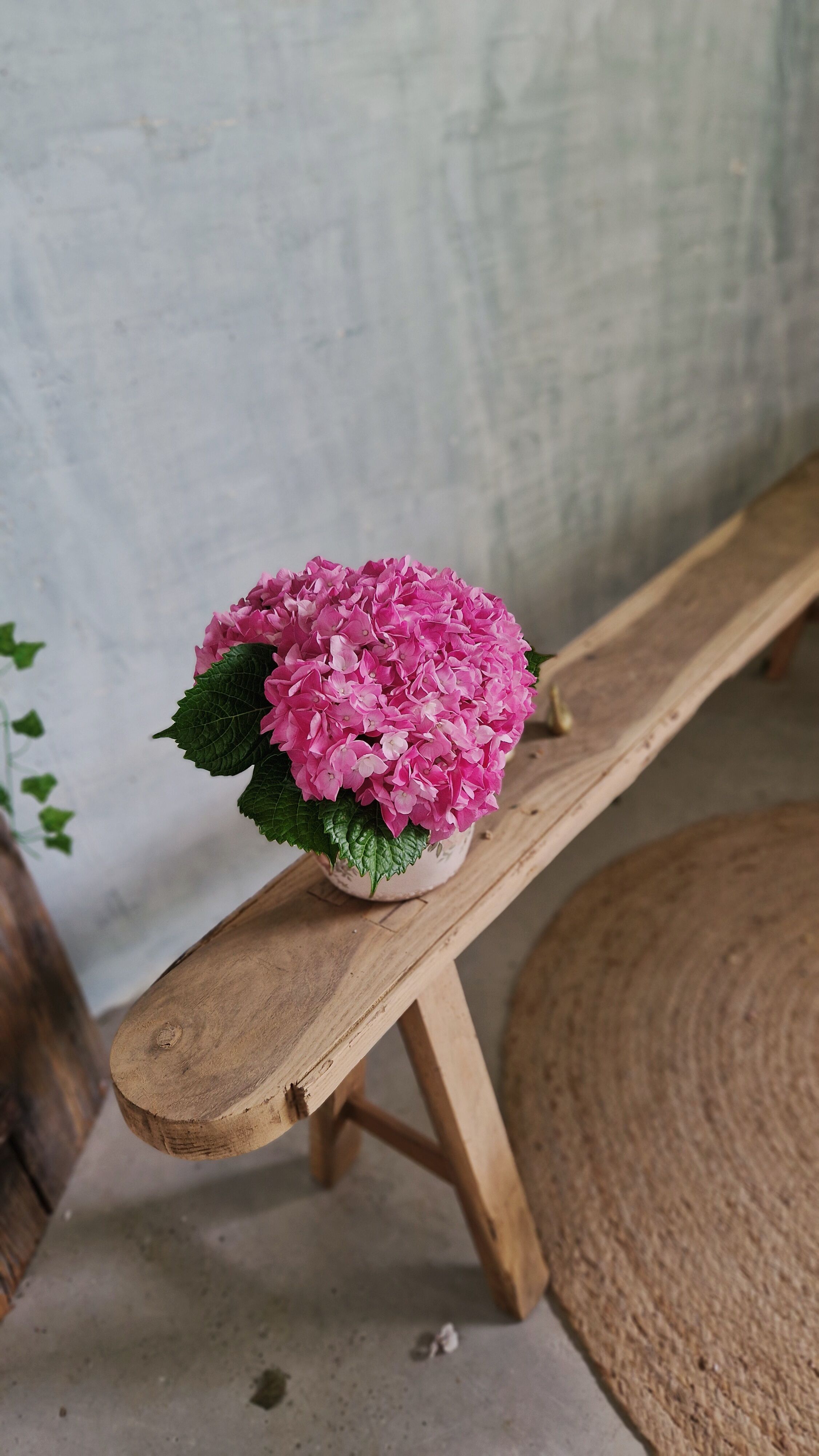 Nice pair of antique benches