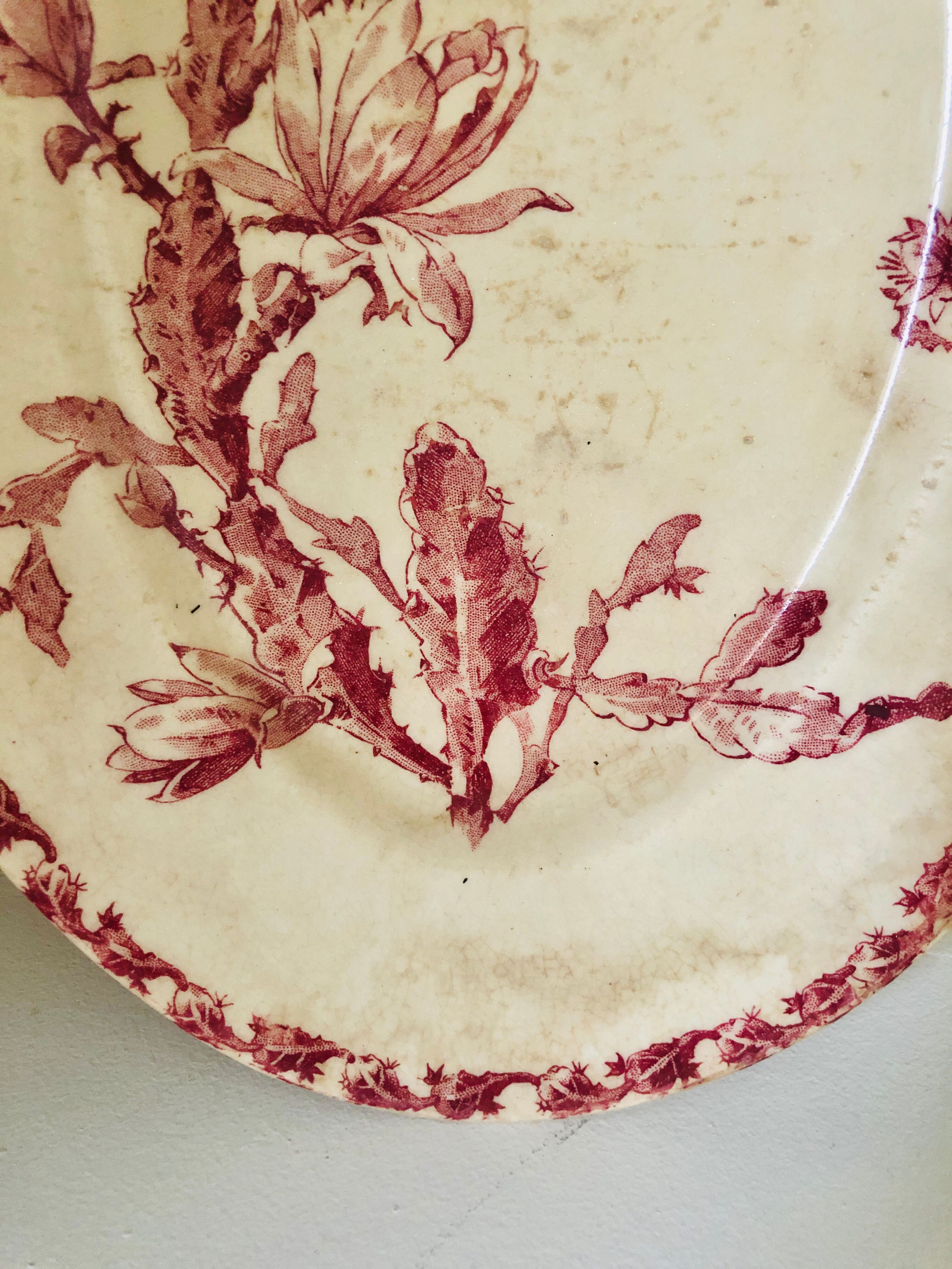 Serving dish Cactus GIEN