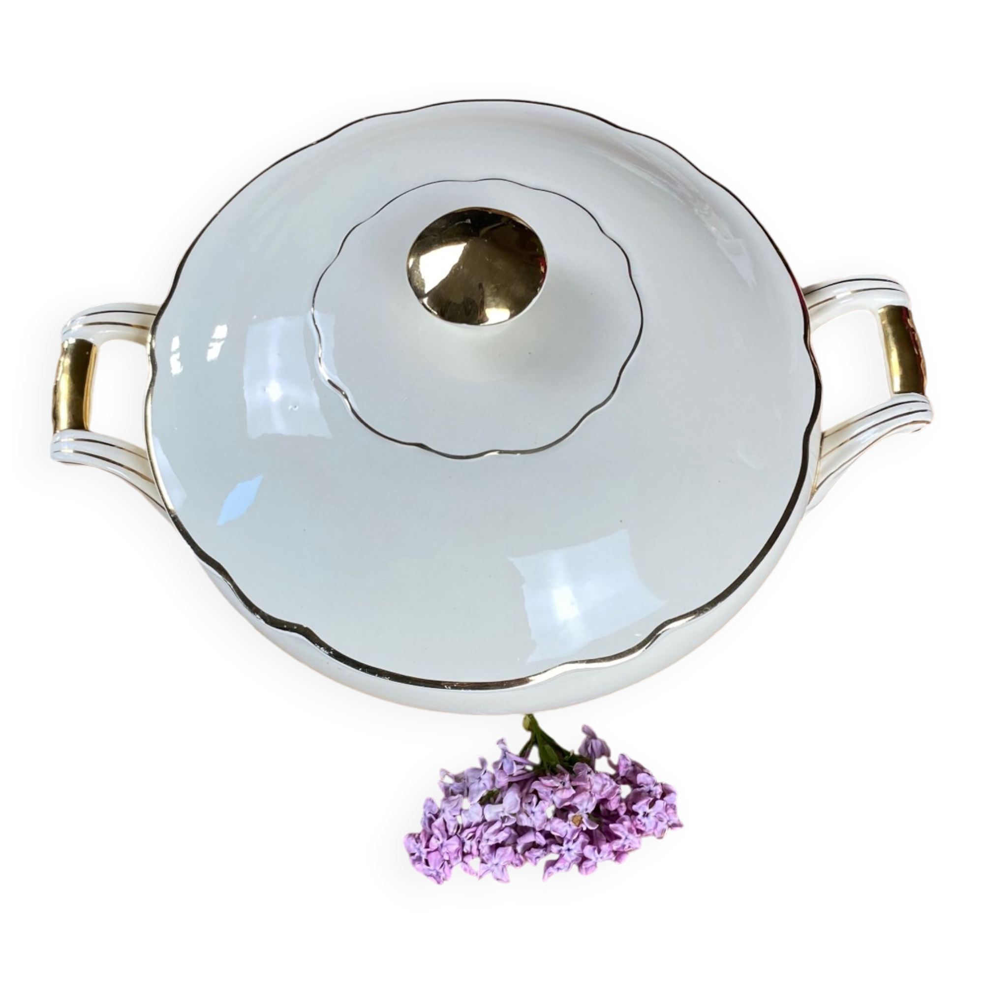 Opaque porcelain soup tureen Digoin and Sarreguemines