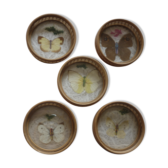 5 Underglass rattan inlaid butterflies