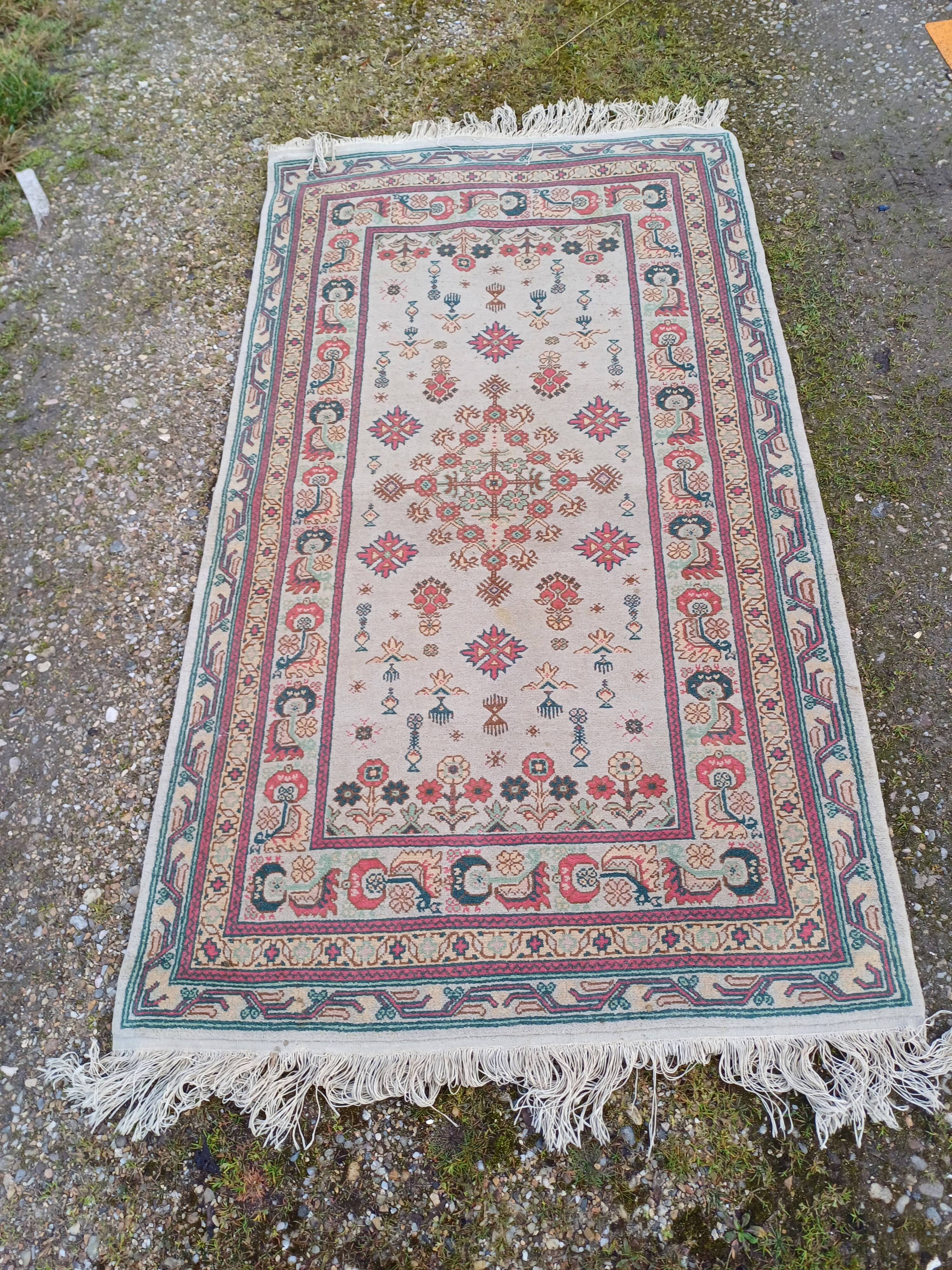 Hand-knotted wool oriental rug