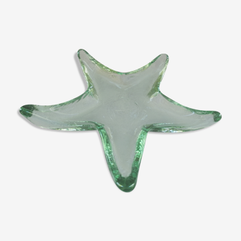 Empty bubbled glass pocket shaped vintage starfish
