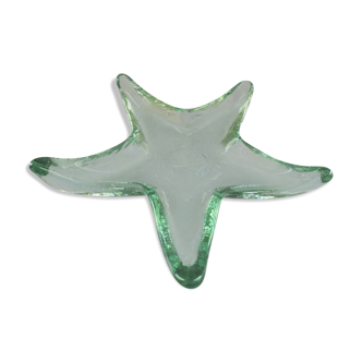 Empty bubbled glass pocket shaped vintage starfish