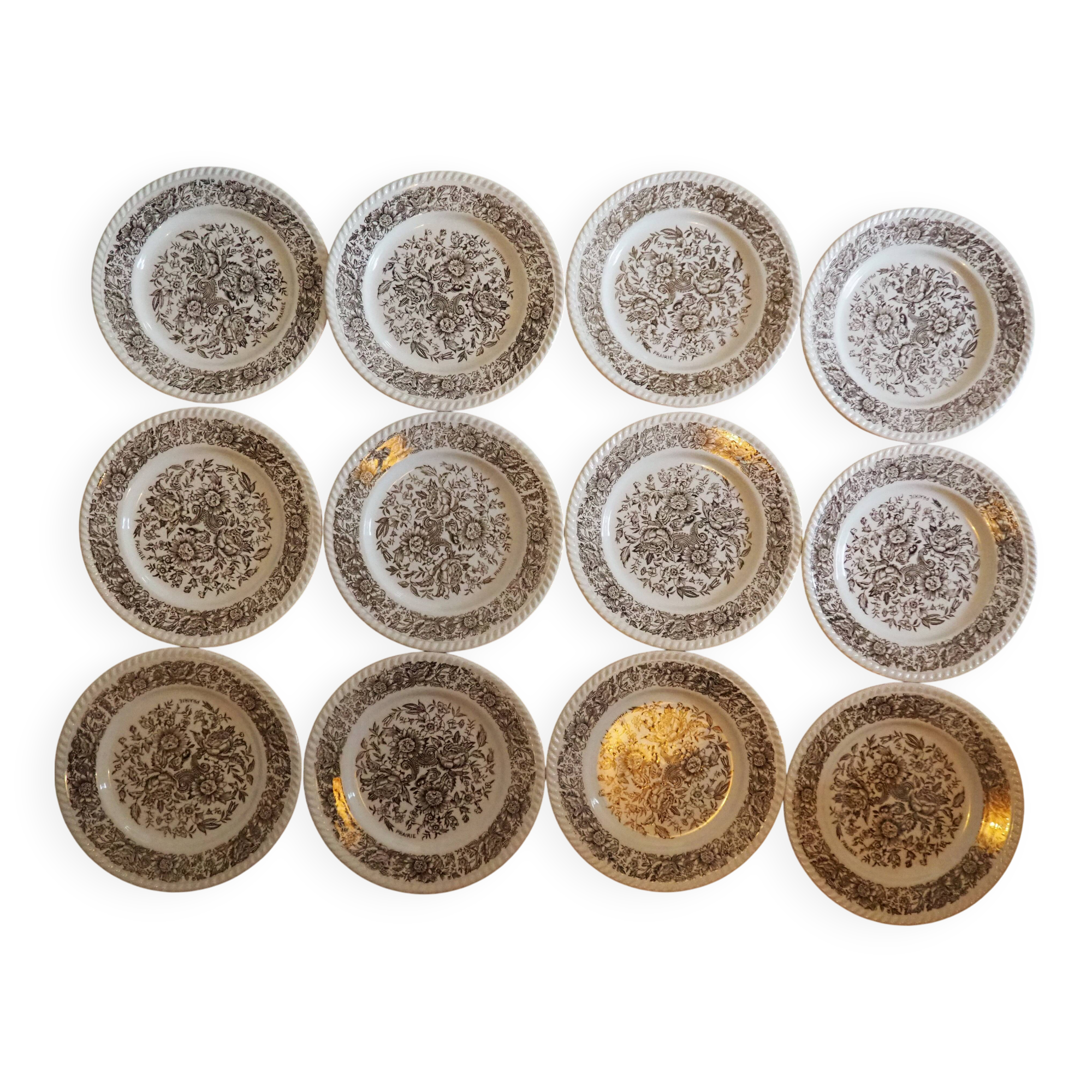 Set of 12 white plates - Brown floral patterns, vintage prairie charm